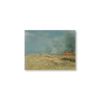 Rinko Kawauchi / 【あめつち-45】Untitled from あめつち Postcard
