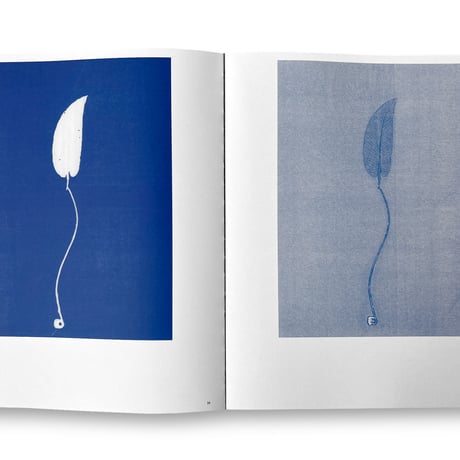 Herma de Wit / Essence of Nature