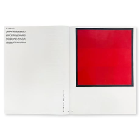 James Turrell / Ad Reinhardt: Color Out of Darkness