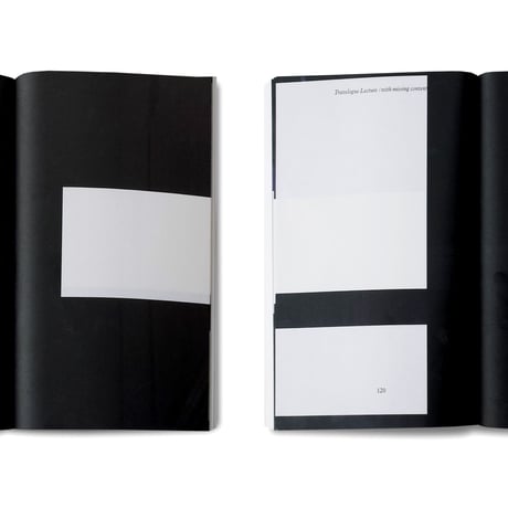 Ryan Gander / Loose associations and other lectures