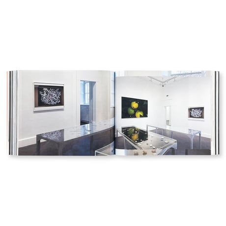 Wolfgang Tillmans / Today Is The First Day