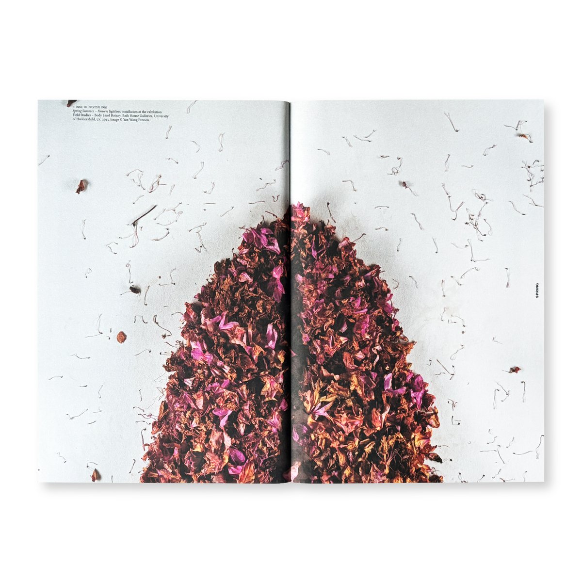 Yan Wang Preston / With love | Gallery 5