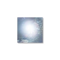 Rinko Kawauchi / 【6×6-23】Untitled from 6×6 Postcard