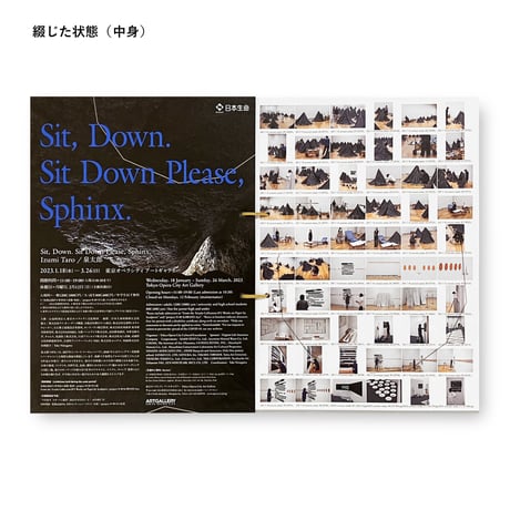 Sit, Down. Sit Down Please, Sphinx. 泉太郎展図録