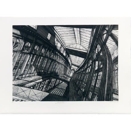 130.Erik Desmazi?res <(Portfolio) Passages Parisiens - Projets d'Agrandissement>
