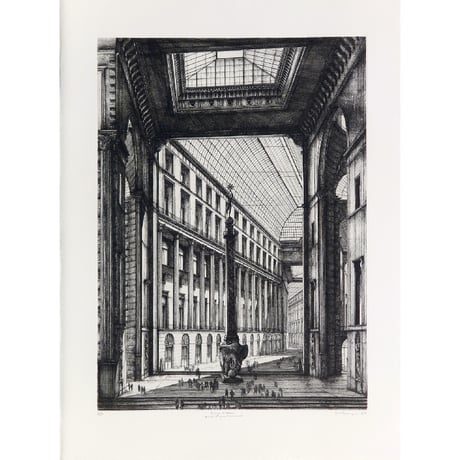 130.Erik Desmazi?res <(Portfolio) Passages Parisiens - Projets d'Agrandissement>