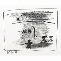 172.パブロ・ピカソ <マントの技>