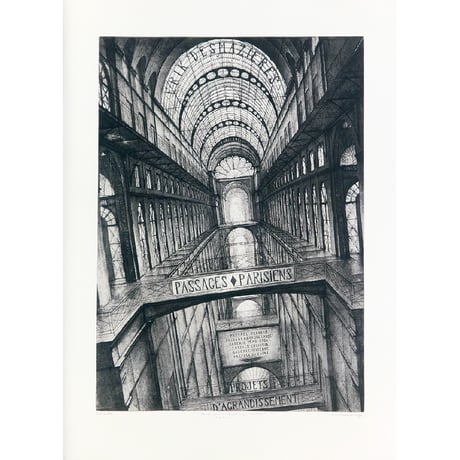 130.Erik Desmazi?res <(Portfolio) Passages Parisiens - Projets d'Agrandissement>