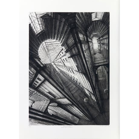 130.Erik Desmazi?res <(Portfolio) Passages Parisiens - Projets d'Agrandissement>