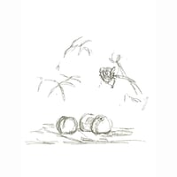 201.アルベルト・ジャコメッティ <花>
