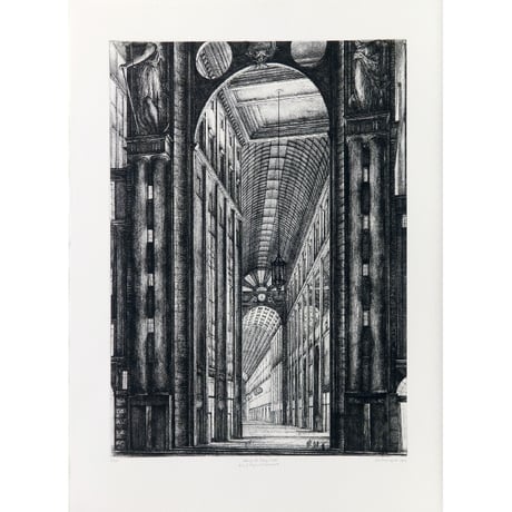 130.Erik Desmazi?res <(Portfolio) Passages Parisiens - Projets d'Agrandissement>