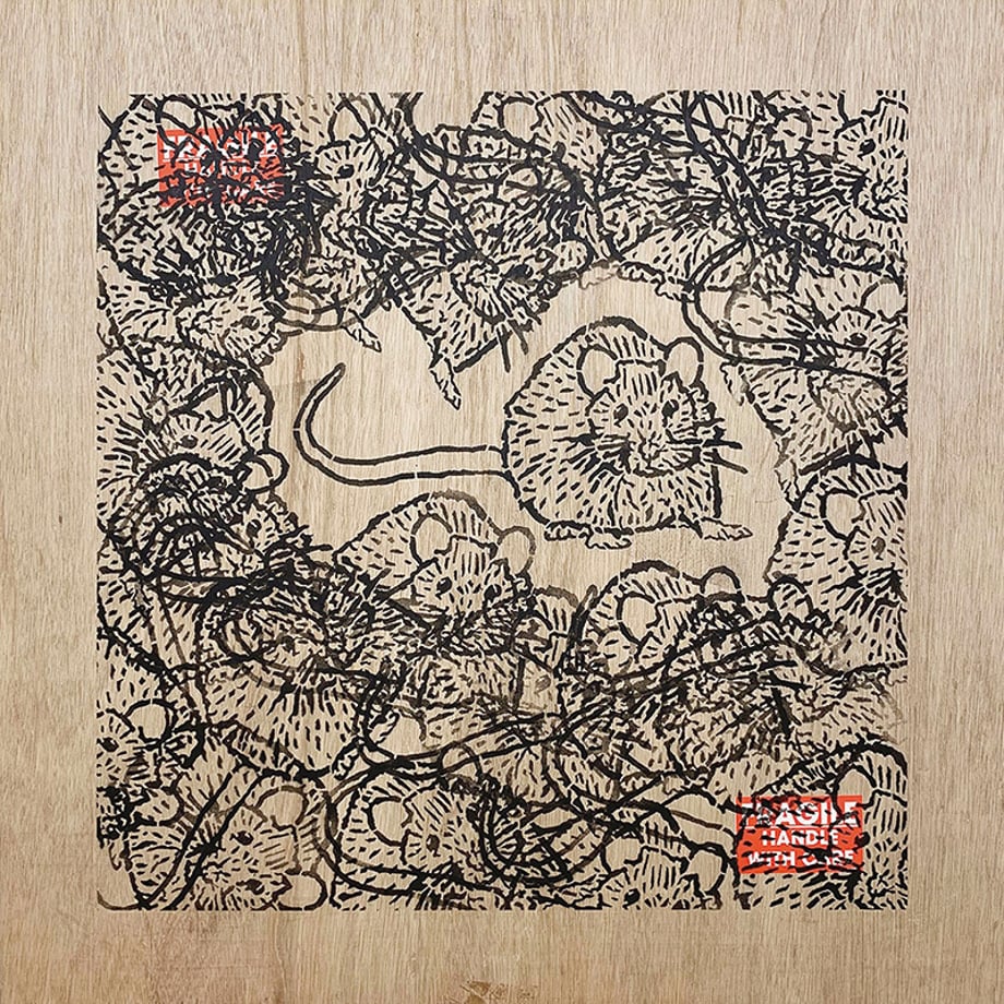 67a041e51b56ba00017f041f