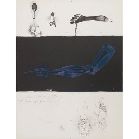 123. ヴンダーリッヒ「解剖学」 Paul Winderlich 'Kleine Anatomie'