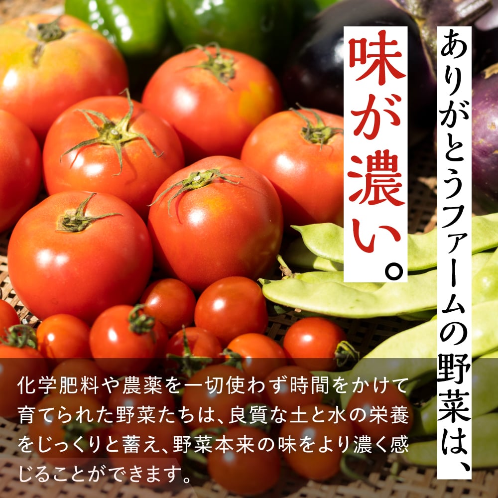 soyana16 ありがとうファーム トマトジュース5本入 常温 syn