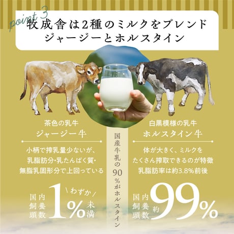 BOK010000000乳製品SIDセット　 牧成舎の牛乳 ヨーグルト チーズ よりどリセット　飛騨市 公式通販 特産品