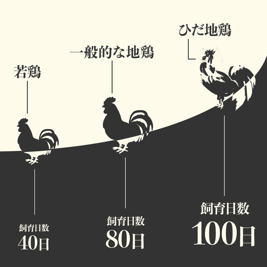 62a330b212d0872d5d0f0c86