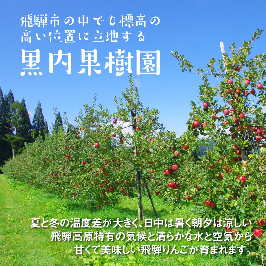 684aa099b859d31fa14316ab
