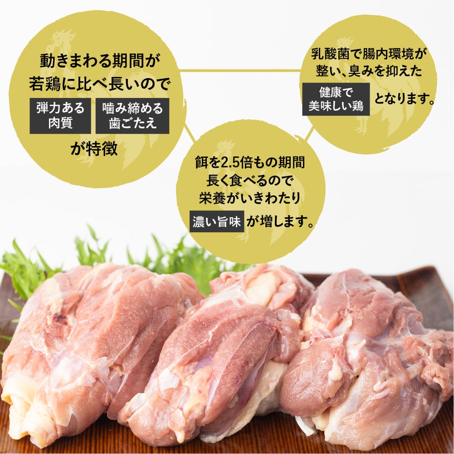 62a330b212d0872d5d0f0c86