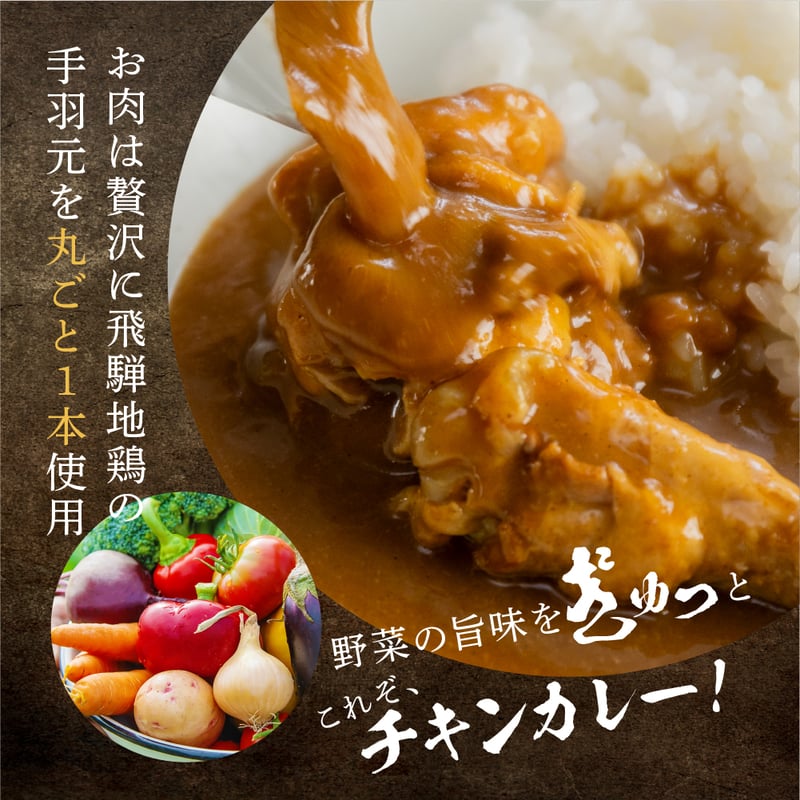 soyana21 飛騨地鶏 チキンカレーセット 常温 syn | 飛騨市ファンクラブ