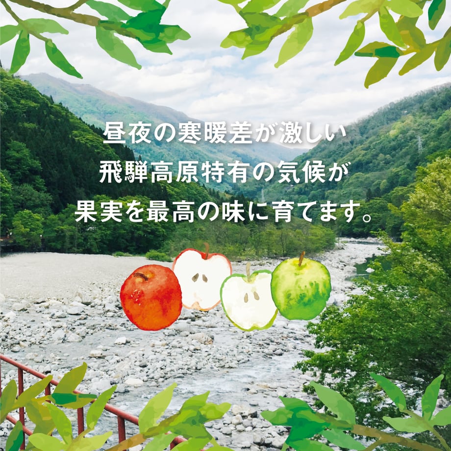 684aa099b859d31fa14316ab