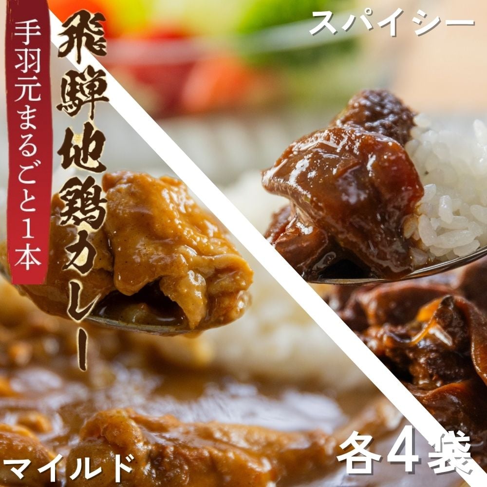 soyana21 飛騨地鶏 チキンカレーセット 常温 syn | 飛騨市ファンクラブ