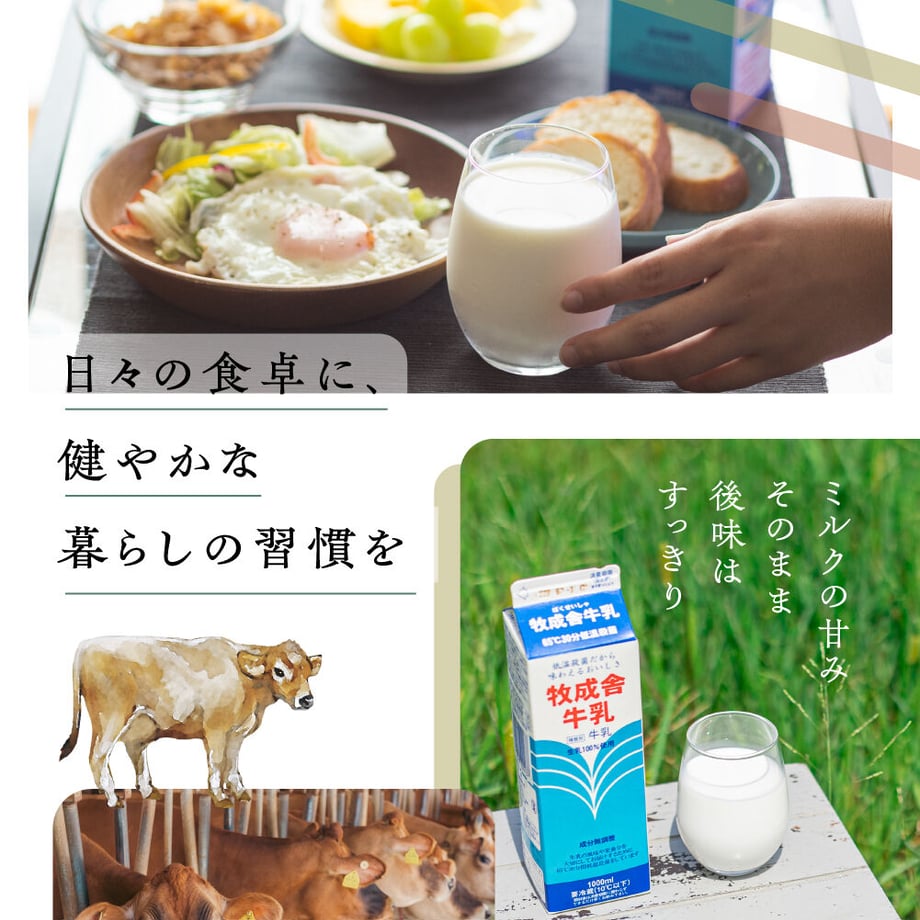 62a330d812d0872d5d0f0d66