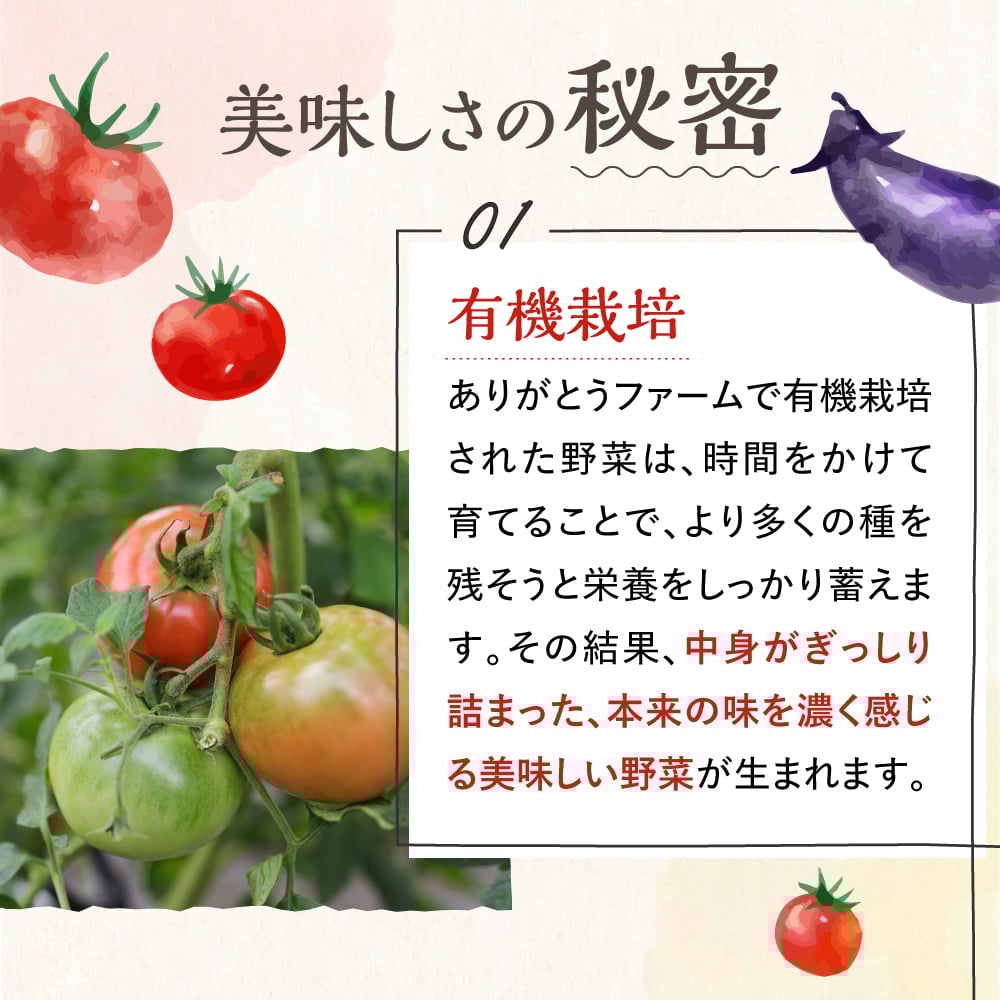 soyana16 ありがとうファーム トマトジュース5本入 常温 syn