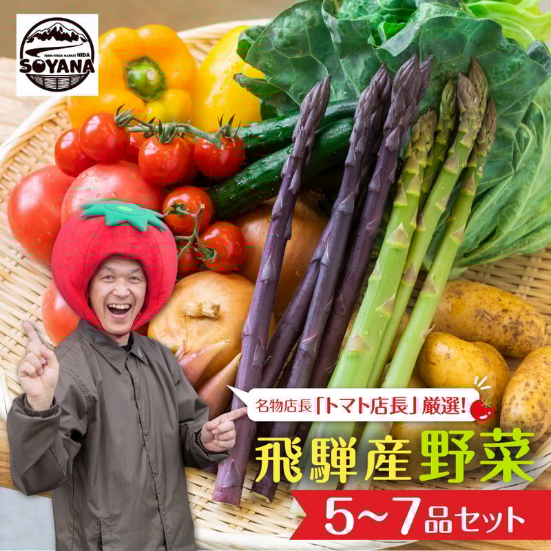 soyana01 定期2回季節の野菜セットsy_2 | 飛騨市ファンクラブ会員 soyana01 定期2回季節の野菜セットsy_2 | 飛騨市ファンクラブ会員
