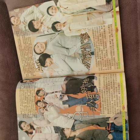 劉亦菲（リウ・イーフェイ）謝霆鋒表紙雑誌グッズ大S周迅張?穎含む