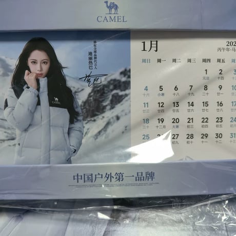 迪丽热巴（ディリラバ ）ディリラバラクダコラボ日?礼盒アクスタ缶マグネット小?セット