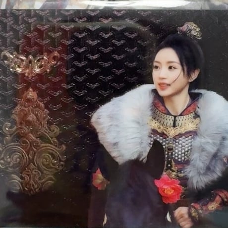 逐玉 小カード 田曦薇 樊長玉 剣影成双シリーズ