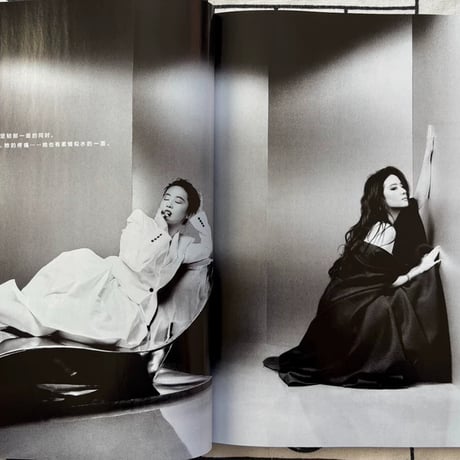 劉亦菲（リウ・イーフェイ）ELLE2025年3月号雑誌表紙内頁劉?胡歌他