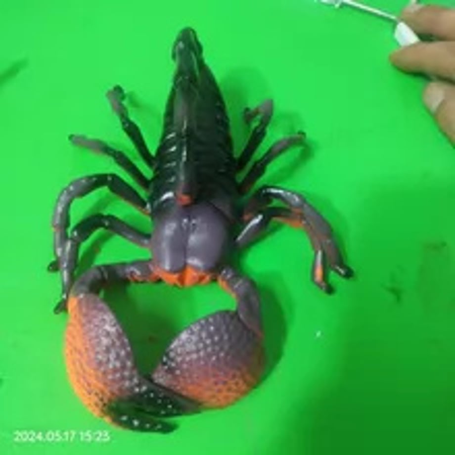 69c4e22155979800011535a9