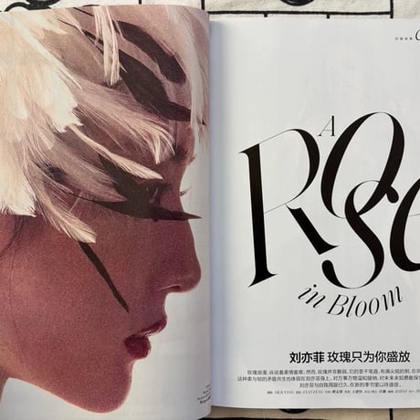 劉亦菲（リウ・イーフェイ）ELLE2025年3月号雑誌表紙内頁劉?胡歌他