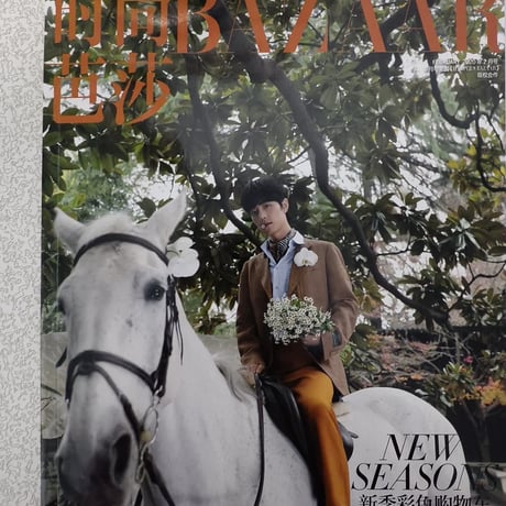 【肖戦/シャオ・ジャン】雑誌ポスターまとめ売りグッズ