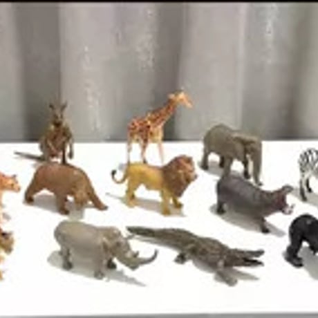 子供用リアル動物模型セット22種知育玩具農場家禽誕生日ギフト新品