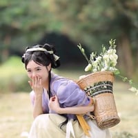 逐玉種田文女主風漢服三点セット