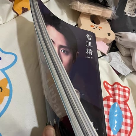 呉謹言（ウー・ジンイェン）瑞麗雑誌表紙李宏毅インタビュー中古