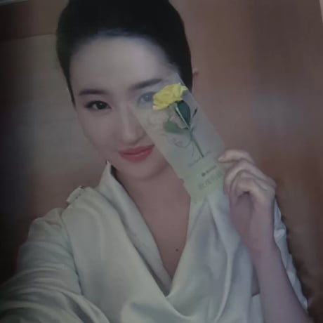 劉亦菲（リウ・イーフェイ）写真集セット