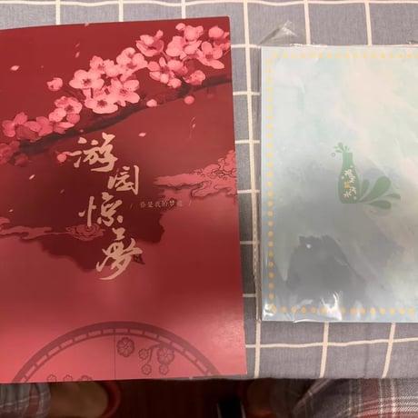 呉謹言（ウー・ジンイェン）写真集正規品ほぼ新品