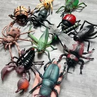 大サイズリアル昆虫モデル12種セット子供知育玩具爬虫類クワガタ蜂蜘蛛スコーピオン