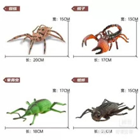 大サイズリアル昆虫モデル12種セット子供知育玩具爬虫類クワガタ蜂蜘蛛スコーピオン