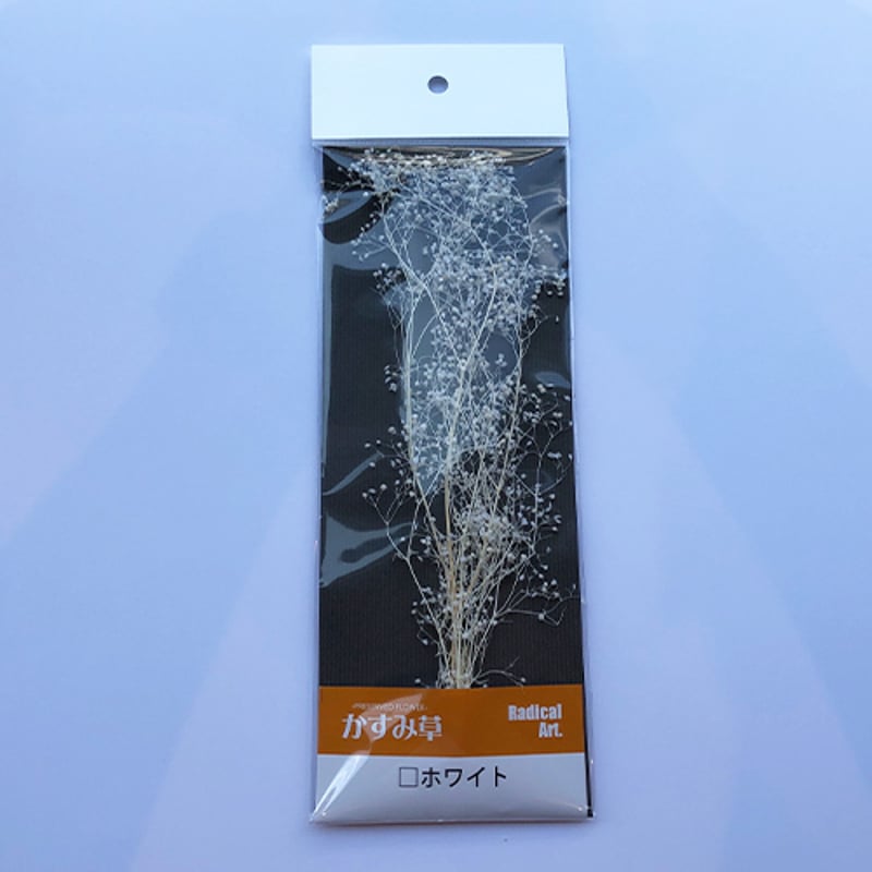 ラジカルアート かすみ草 ホワイト 4582146641294 | 建築模型材料屋