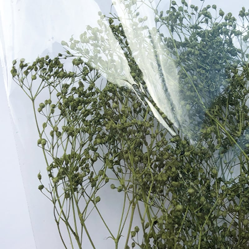 ソフトミニカスミ草 ヴェールグリーン 4988489220125 | 建築模型