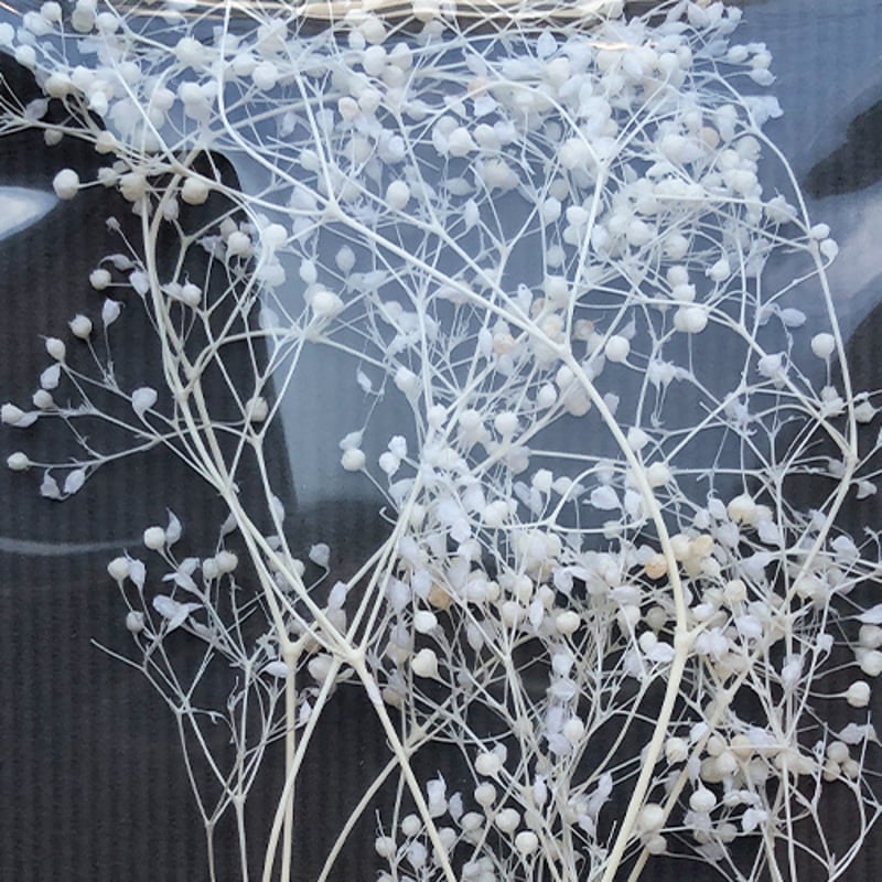 ラジカルアート かすみ草 ホワイト 4582146641294 | 建築模型材料屋