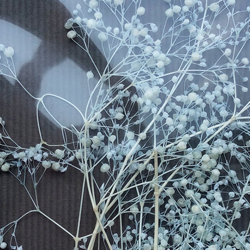 ラジカルアート かすみ草 ラベンダー 4582146641324 | 建築模型