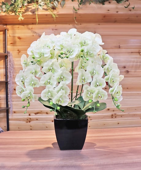 専用＊プロテア&エアプランツ  フェイクスワッグ 専用＊プロテア&エアプランツ フェイクスワッグ ITEM | 岡本造花分店