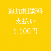追加相談料