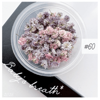 baby’s breath* ＃60