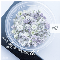 baby’s breath* ＃67